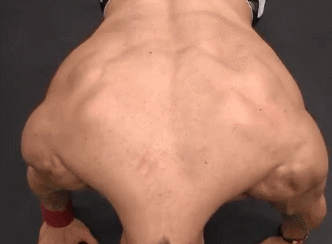 JN江南体育官方网站