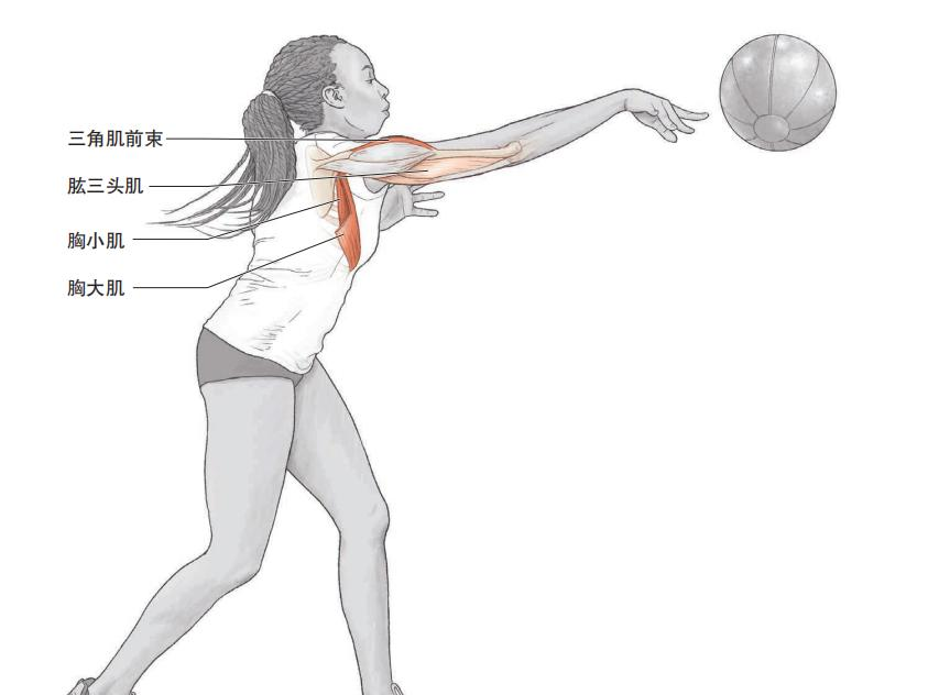 JN江南体育官方网站