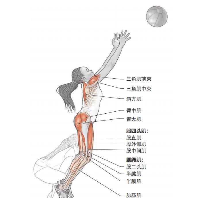 JN江南体育官方网站